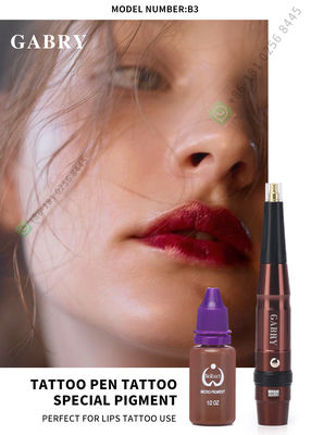 Machine rotatoire sans fil à faible bruit de Pen For Lips Rechargeable Tattoo de tatouage