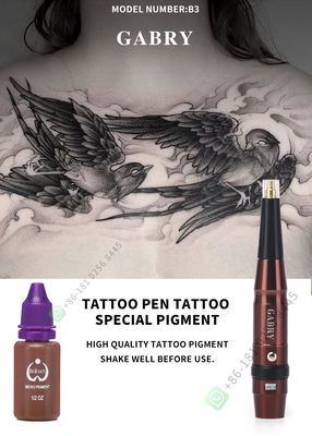 Machine rotatoire sans fil à faible bruit de Pen For Lips Rechargeable Tattoo de tatouage