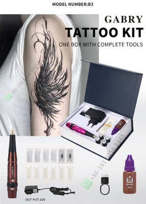 Machine rotatoire sans fil à faible bruit de Pen For Lips Rechargeable Tattoo de tatouage