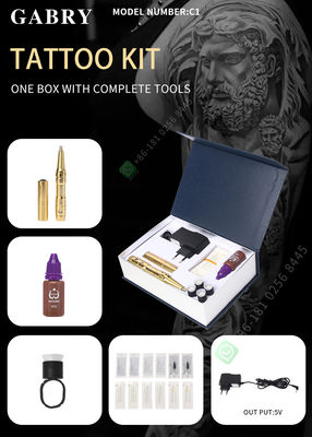 Machine permanente Kit Electric Microblading For Eyebrow d'arme à feu de tatouage de maquillage