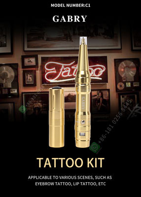 Machine permanente Kit Electric Microblading For Eyebrow d'arme à feu de tatouage de maquillage
