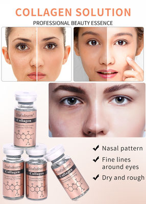 OEM/OBM Stalidearm Essence de soins de la peau Collagène anti-rides hydratant le visage sérum de marque privée