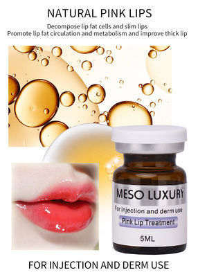 Hydrater le sentiment doux d'acide hyaluronique de sérum de lèvre de sérum meso d'injections