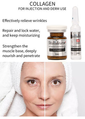 Solution de mésothérapie au collagène injectable Exosome Booster Dermal Filler