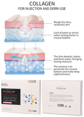 Solution de mésothérapie au collagène injectable Exosome Booster Dermal Filler