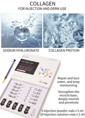 Solution de mésothérapie au collagène injectable Exosome Booster Dermal Filler