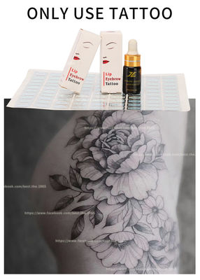Sourcil anesthésique engourdissant de lèvre de solution de tatouage durant 3 heures