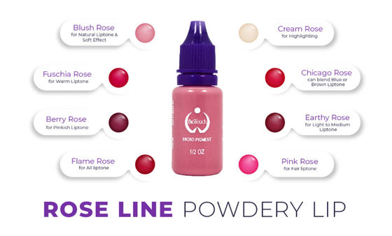 Sourcil micro d'approvisionnements de Rose Pigment Color Permanent Makeup Microblading de colorant de Biotouch ombrageant MicrGel polishgmentation